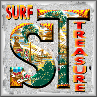 Surf Treasure Florida Shells